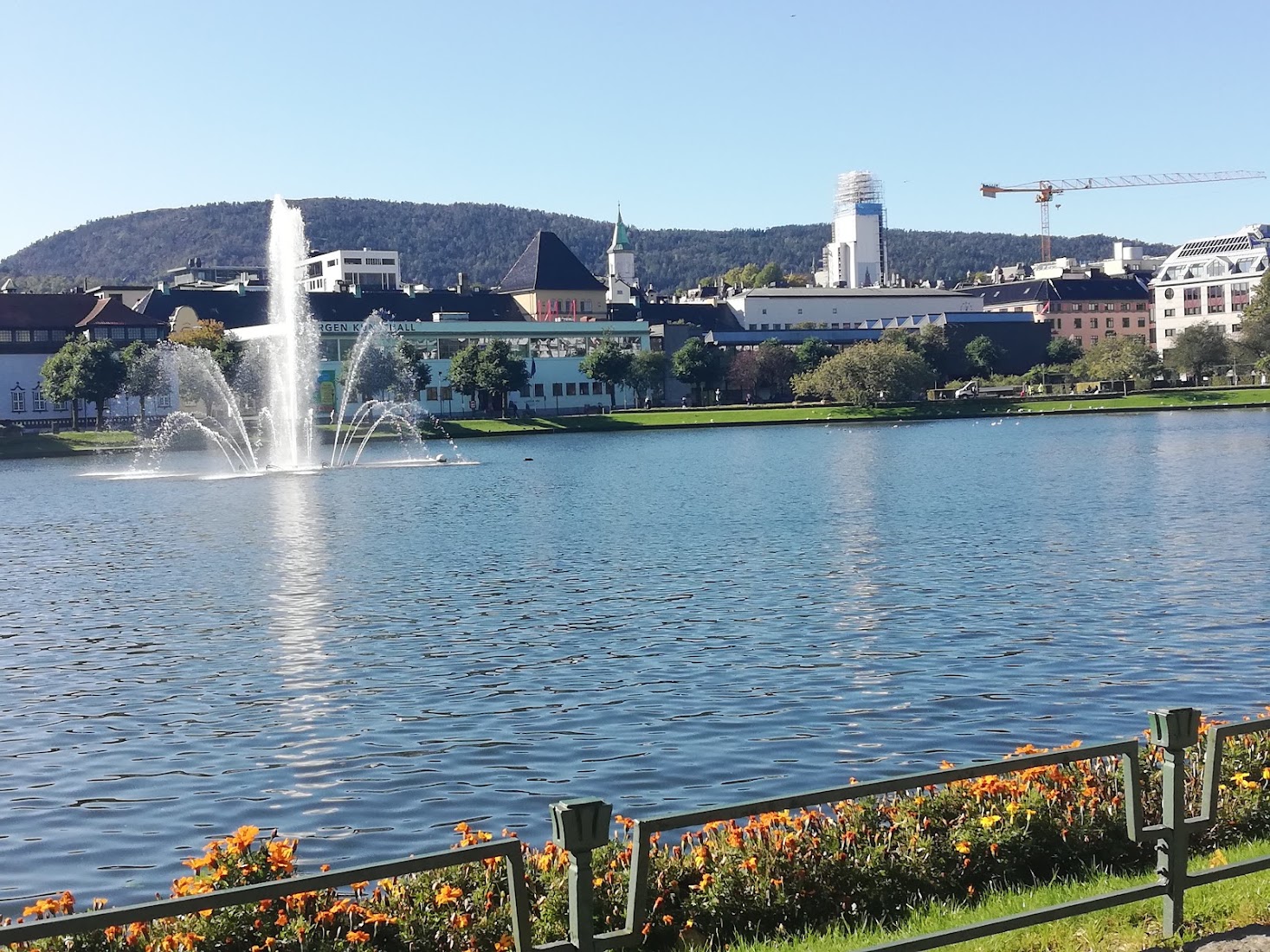 Bergen Fjord Adventures
